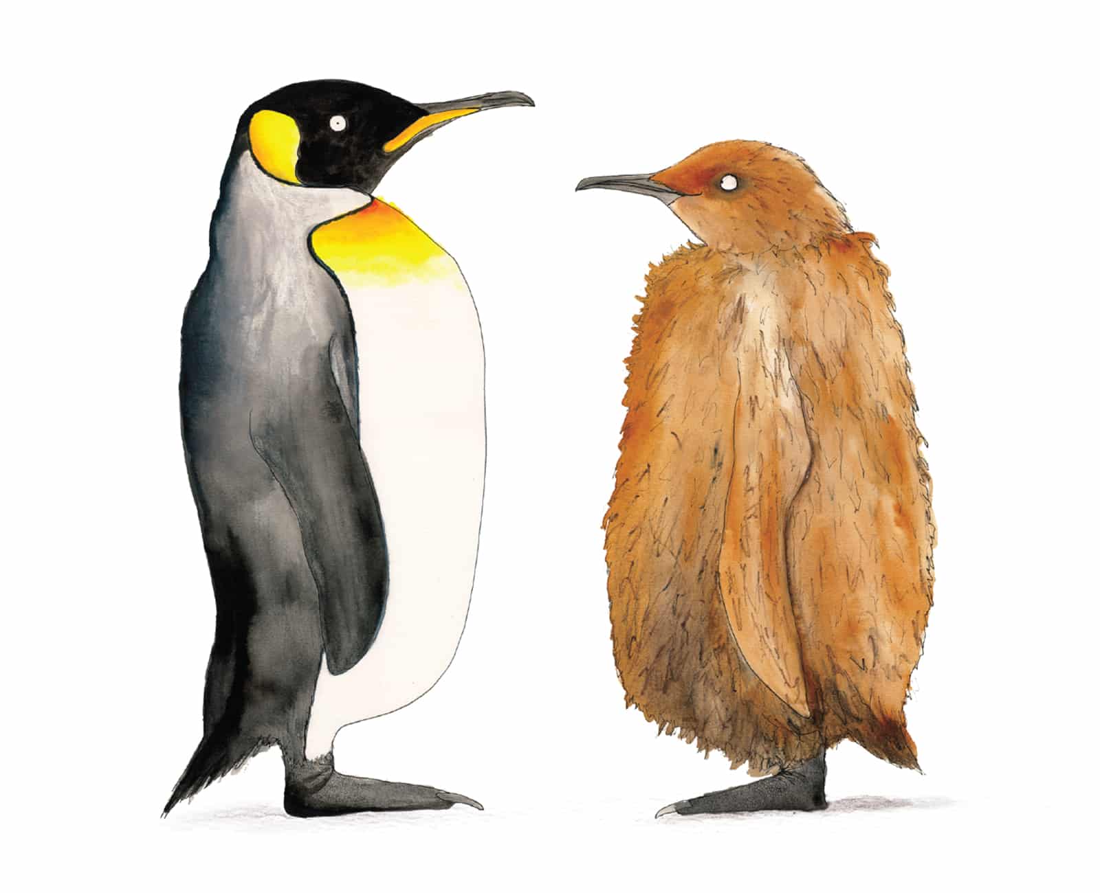 king penguin giclee art print