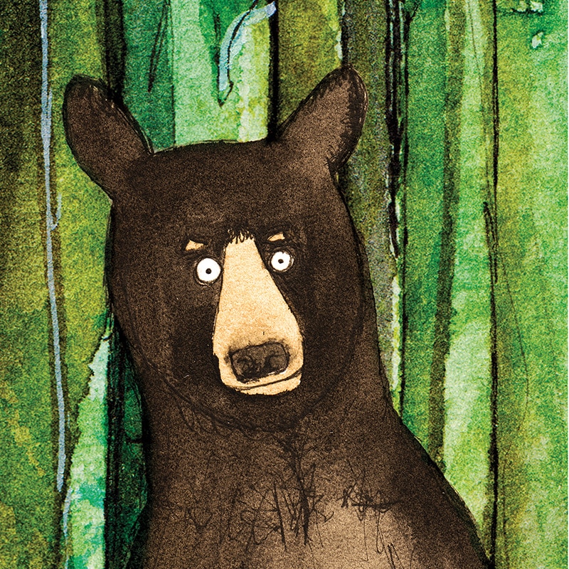 forest-bear