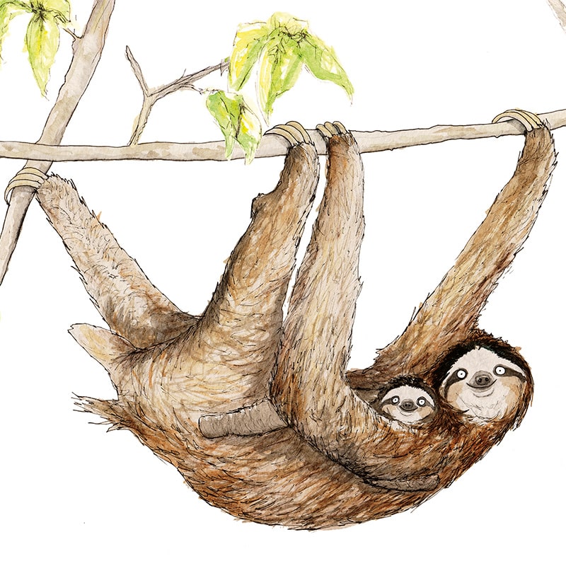 sloth-2
