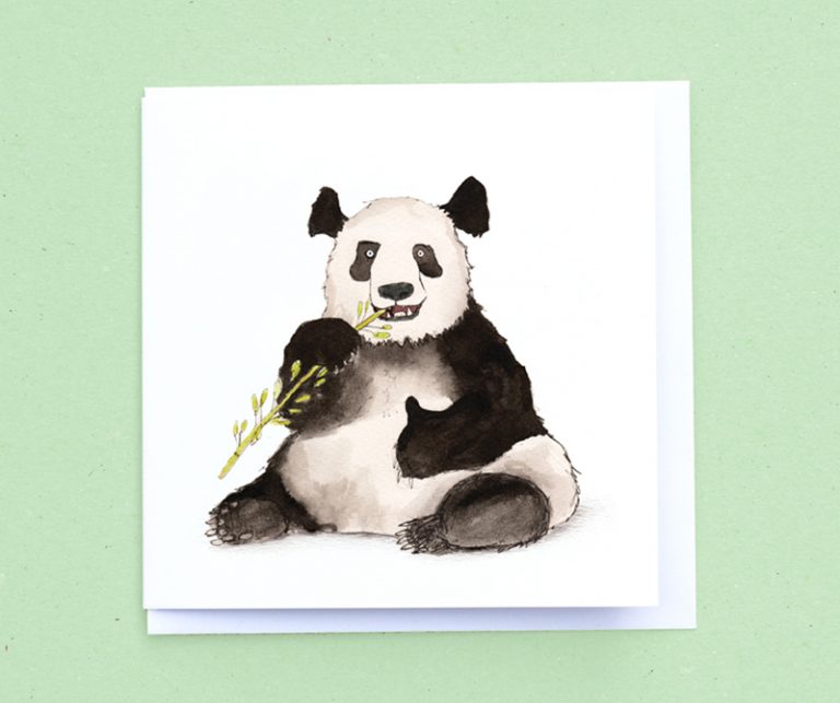 Giant Panda 100 Recycled Greetings Card Fur Feathers And Tails