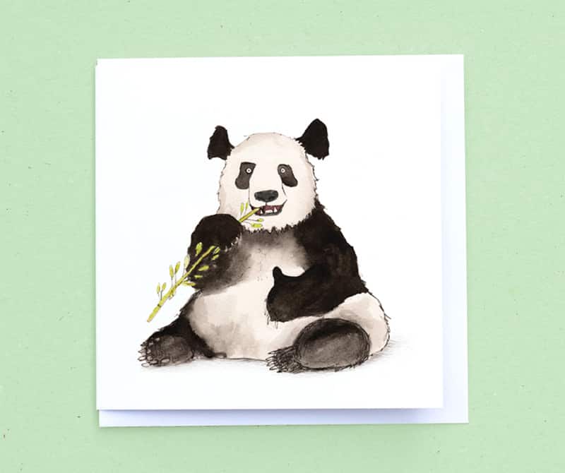 panda-product