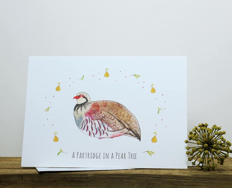 partridge1