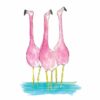 flamingo giclee print