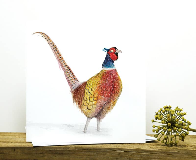 pheasant in snow recycled christmas card fure feathers and tails