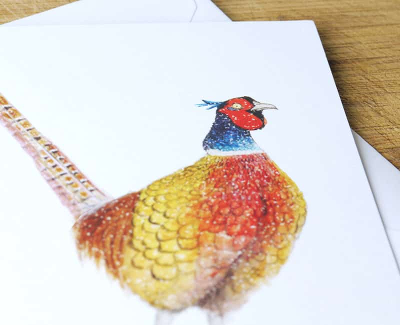 pheasant in snow recycled christmas card fure feathers and tails