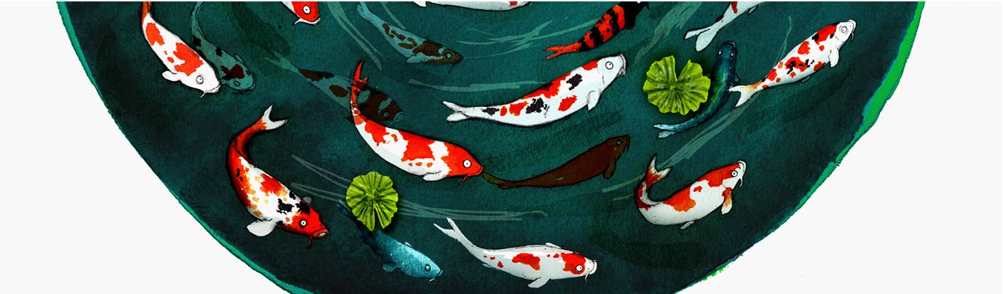 koi-header