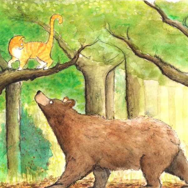 cat-and-bear-featured
