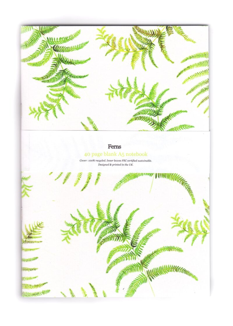 notebooks-ferns_front