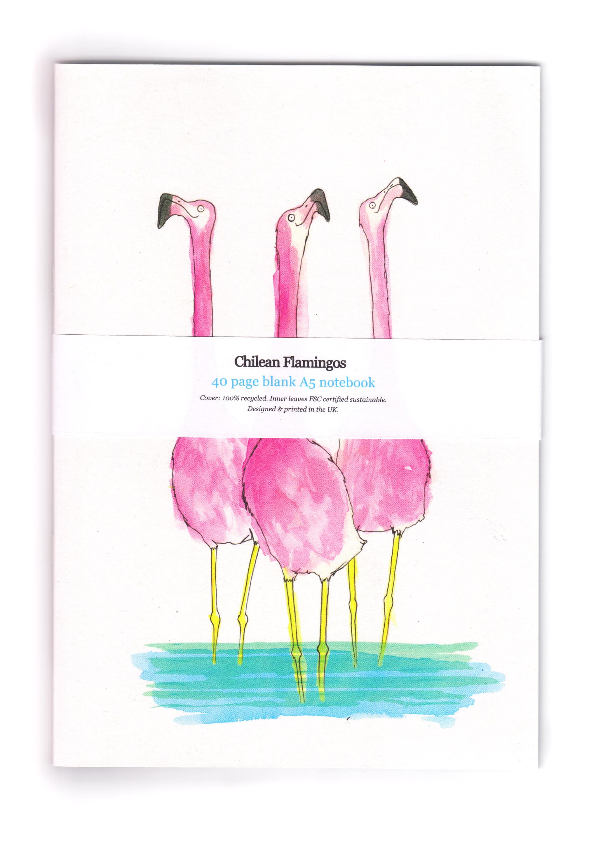 notebooks-flamingos_front